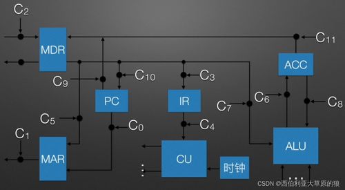 计算机组成原理 CPU如何像西伯利亚大草原的狼一样高效工作