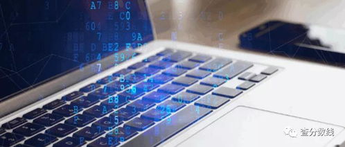 女生学计算机 如何选择适合的专业与未来发展方向